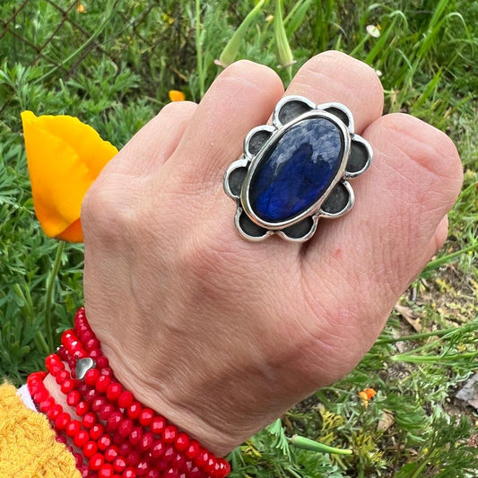 Anillo Primavera